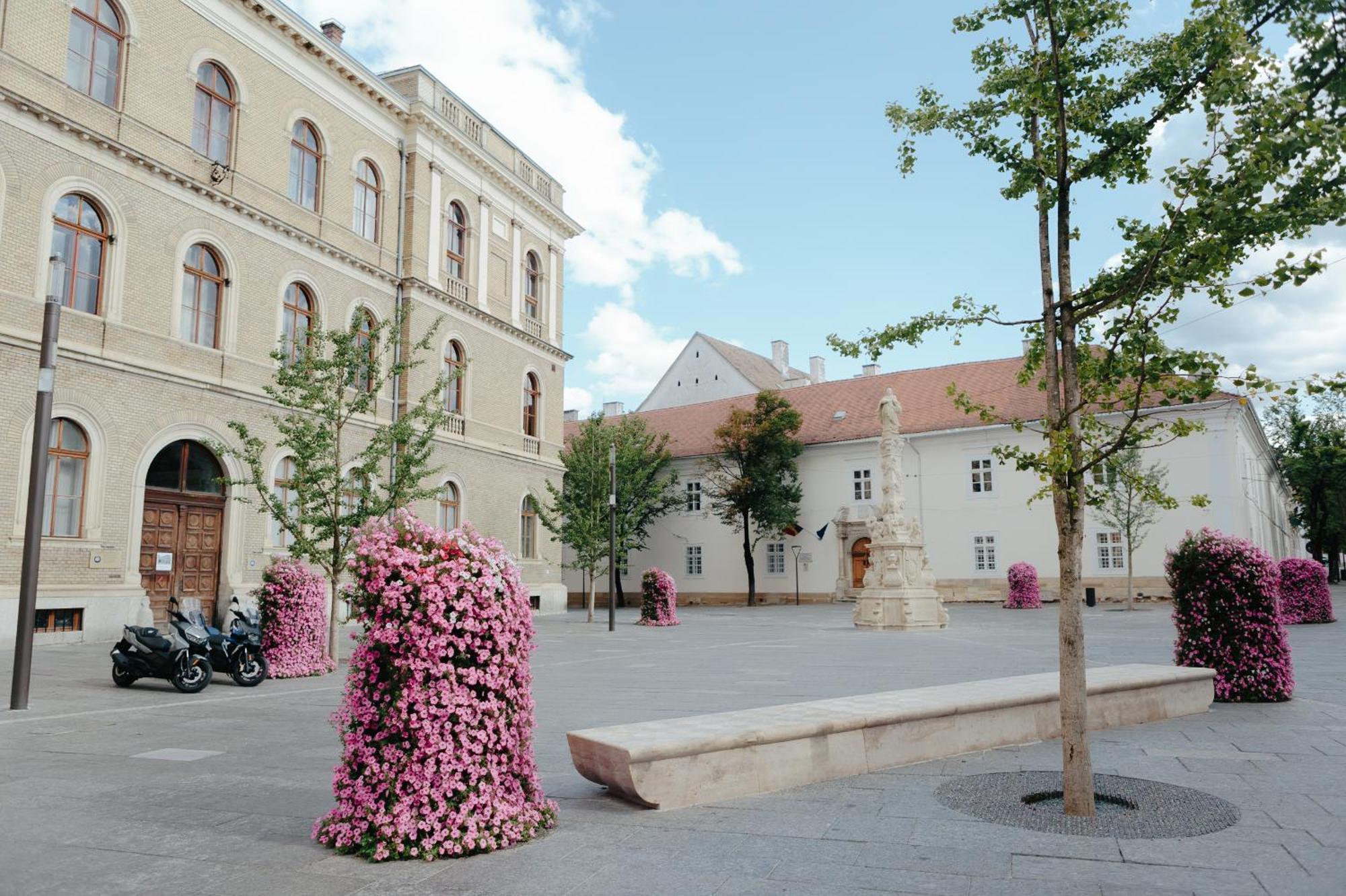 Contessa Central Studio Kluż-Napoka Zewnętrze zdjęcie